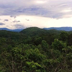 Meet your Posher, Payton